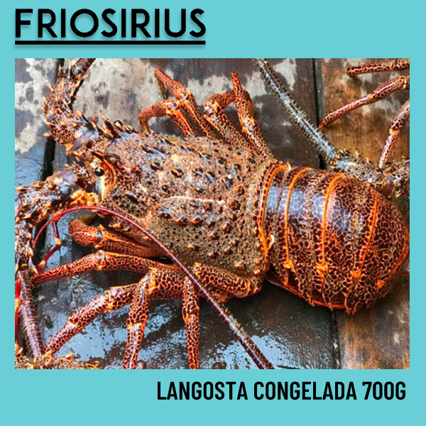 Langostas congelada cocida Juan Fernandez 600G-700G